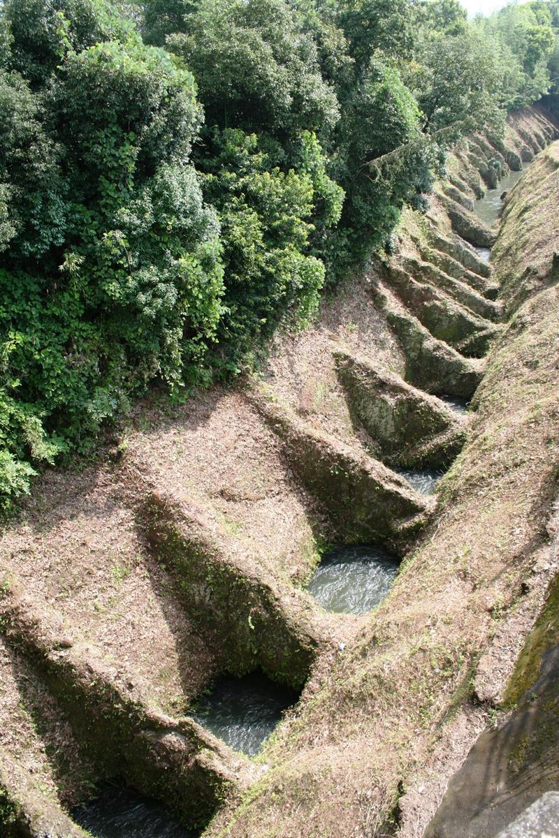 馬場楠井手の鼻ぐり全景写真