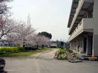 校舎の風景