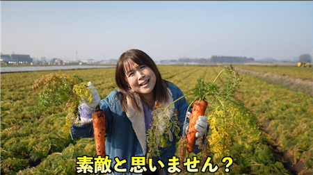 人参収穫(2)