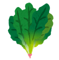 ほうれん草