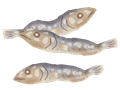 煮干し